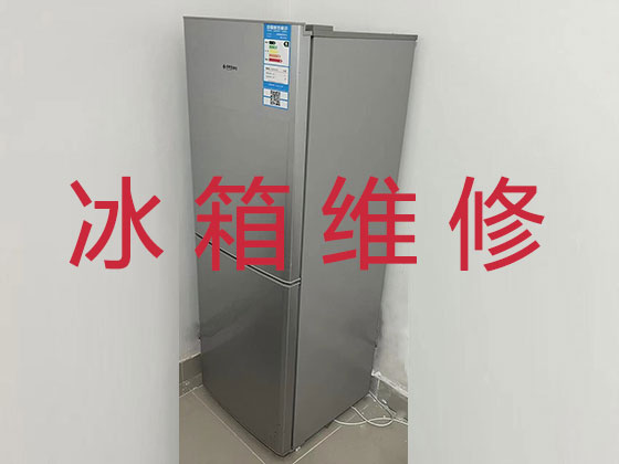 杭州冰箱维修